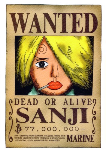Sanji-one-piece-26360374-353-500.jpg